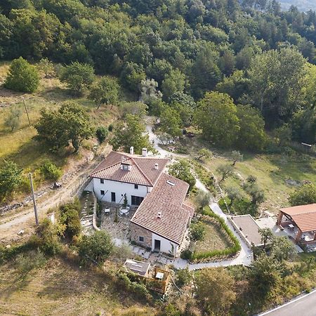 Agriturismo Le Fonti Pontassieve Εξωτερικό φωτογραφία