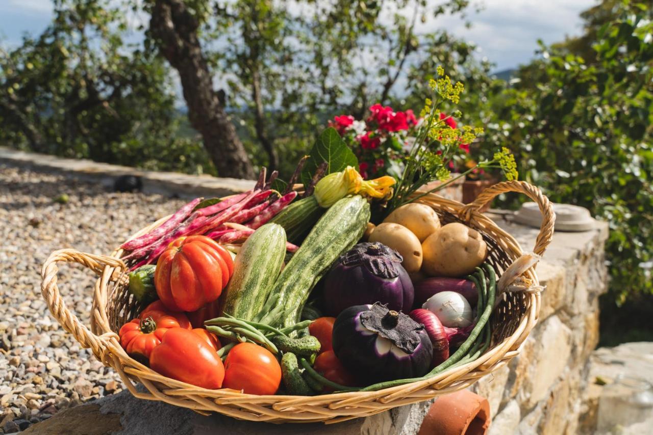 Agriturismo Le Fonti Pontassieve Εξωτερικό φωτογραφία
